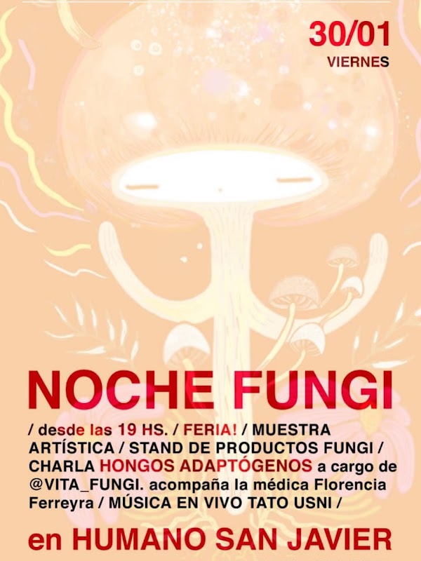 Noche Fungi