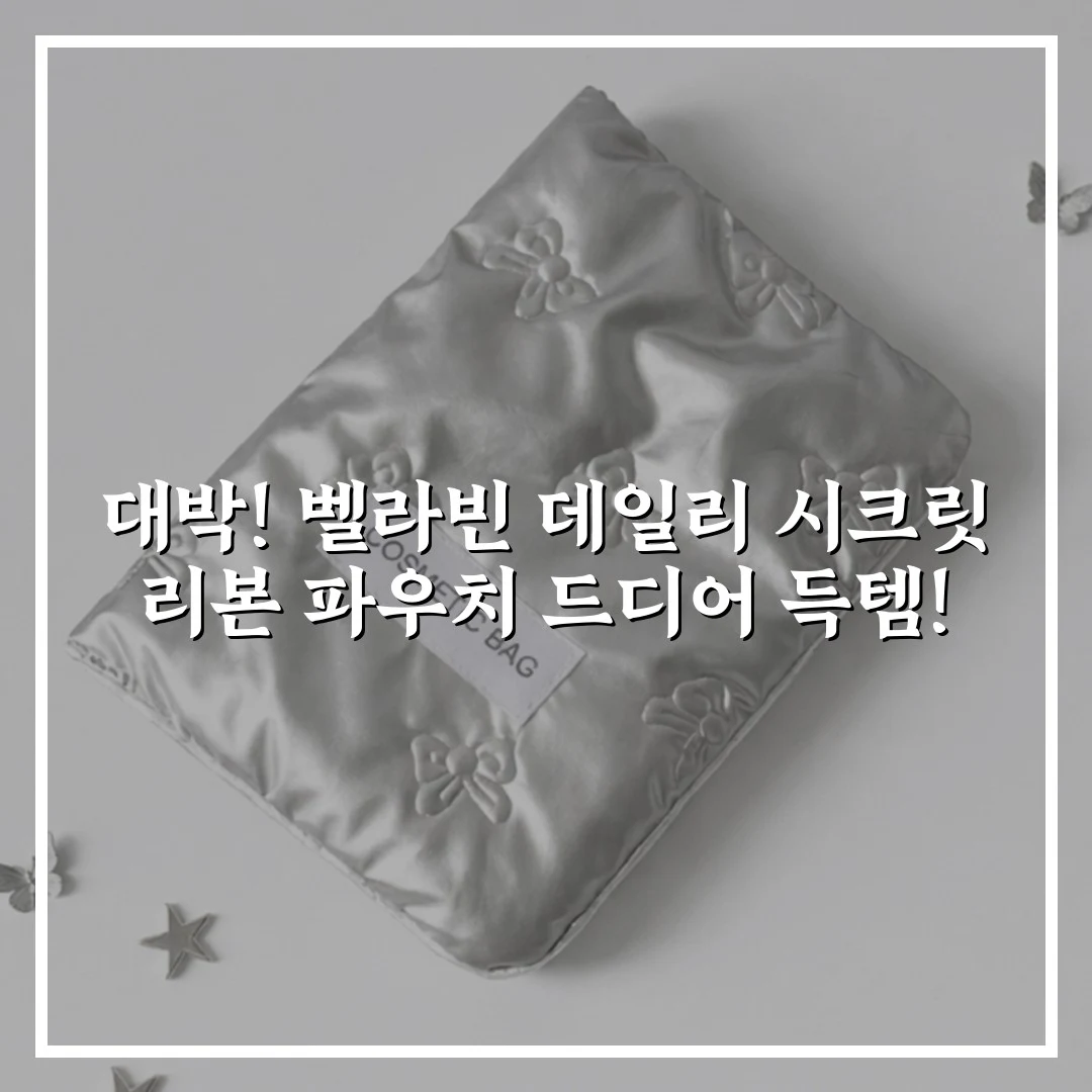 대박! 벨라빈 데일리 시크릿 리본 파우치 드디어 득템!
