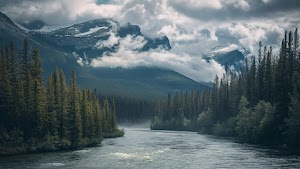 Nature River Wallpaper