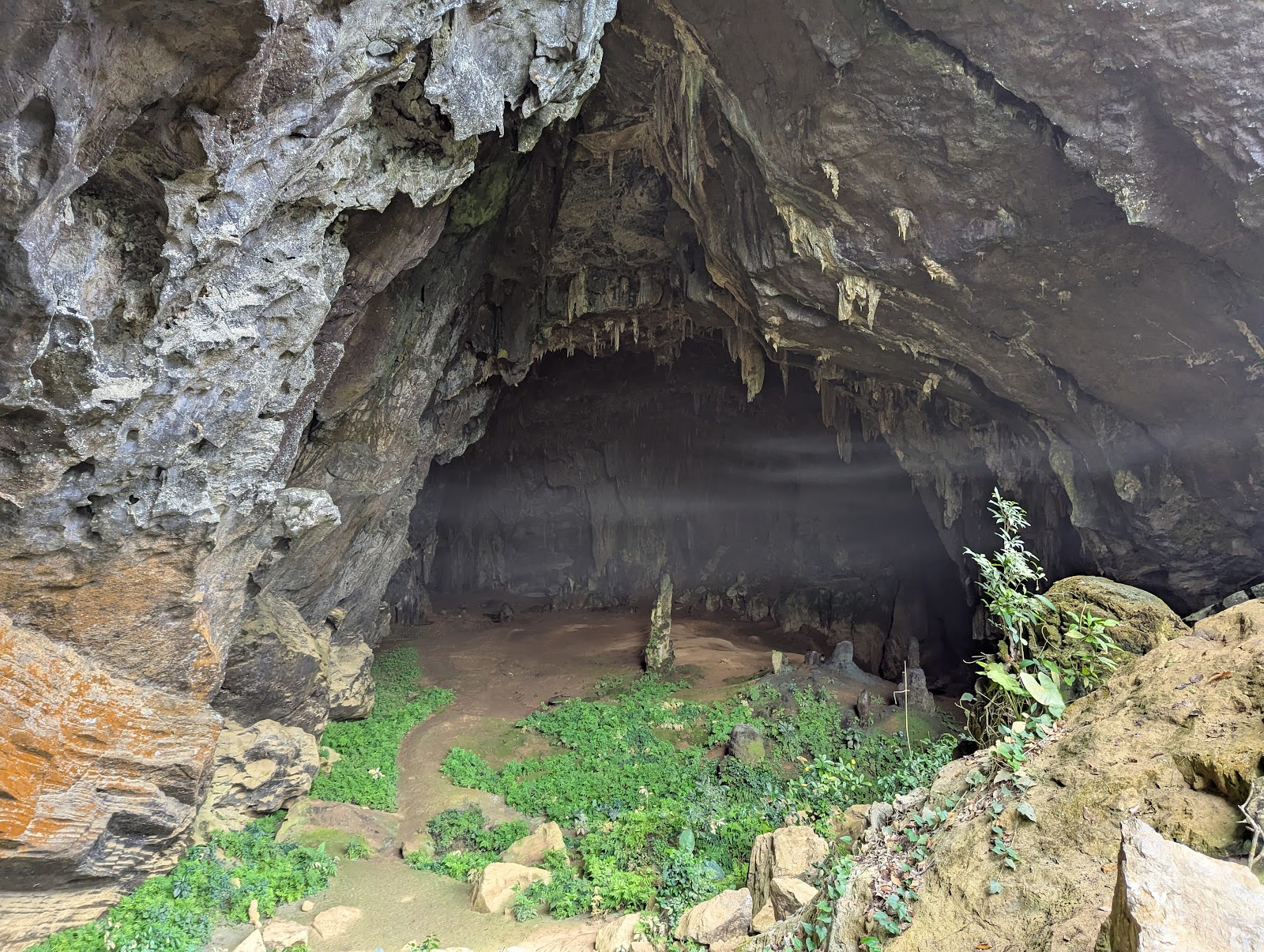 A photo of a rocky scramble filled with plants leading into the entrance
                 to what appears to be a very large cave.