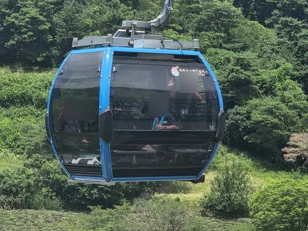 네이버 블로그 사진