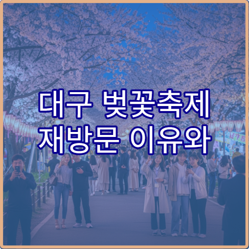 대구 벚꽃축제 재방문 이유와 평일 vs 주말 솔직 후기 비교 분석
