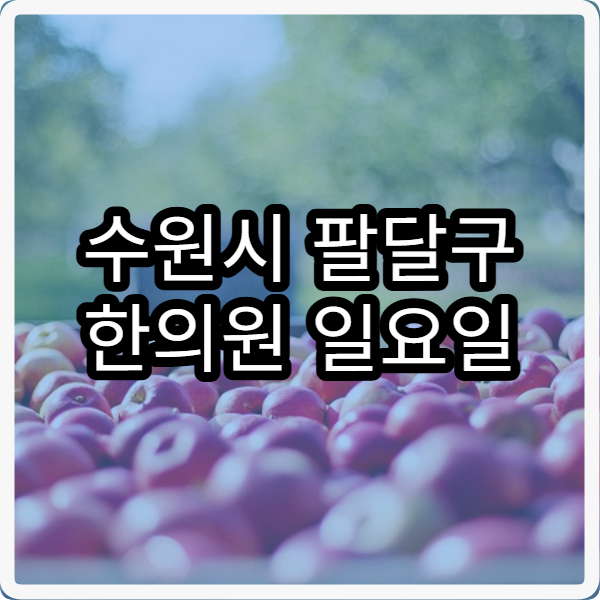 수원시 팔달구 한의원 일요일 진료 병원 한방치료 가능한 주말 한의원 정보