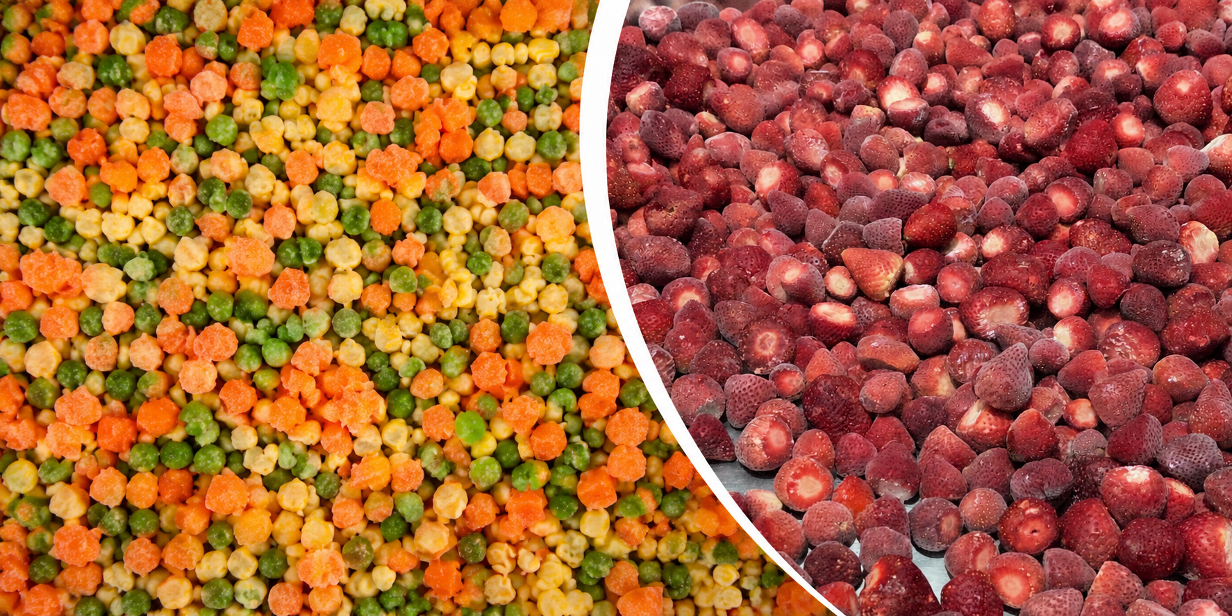SANAM frozen fruits and vegetables IQF line