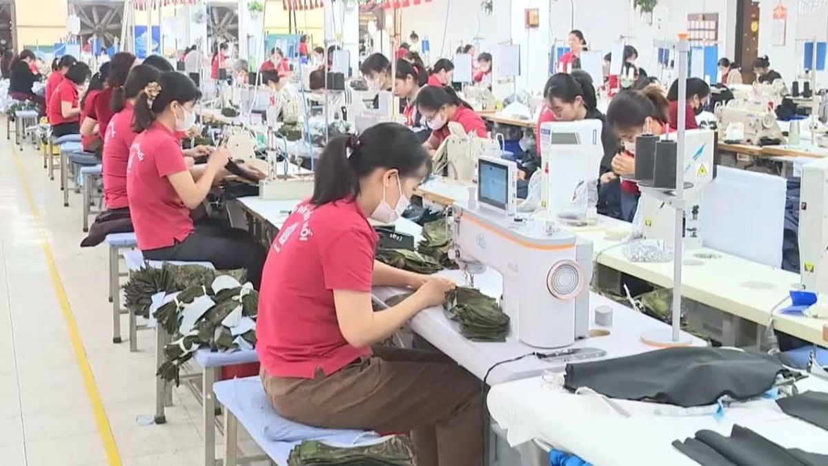 Phạt tới 70 triệu đồng khi mua bán dữ liệu về người lao động - Đài Phát thanh và truyền hình Hà Nội