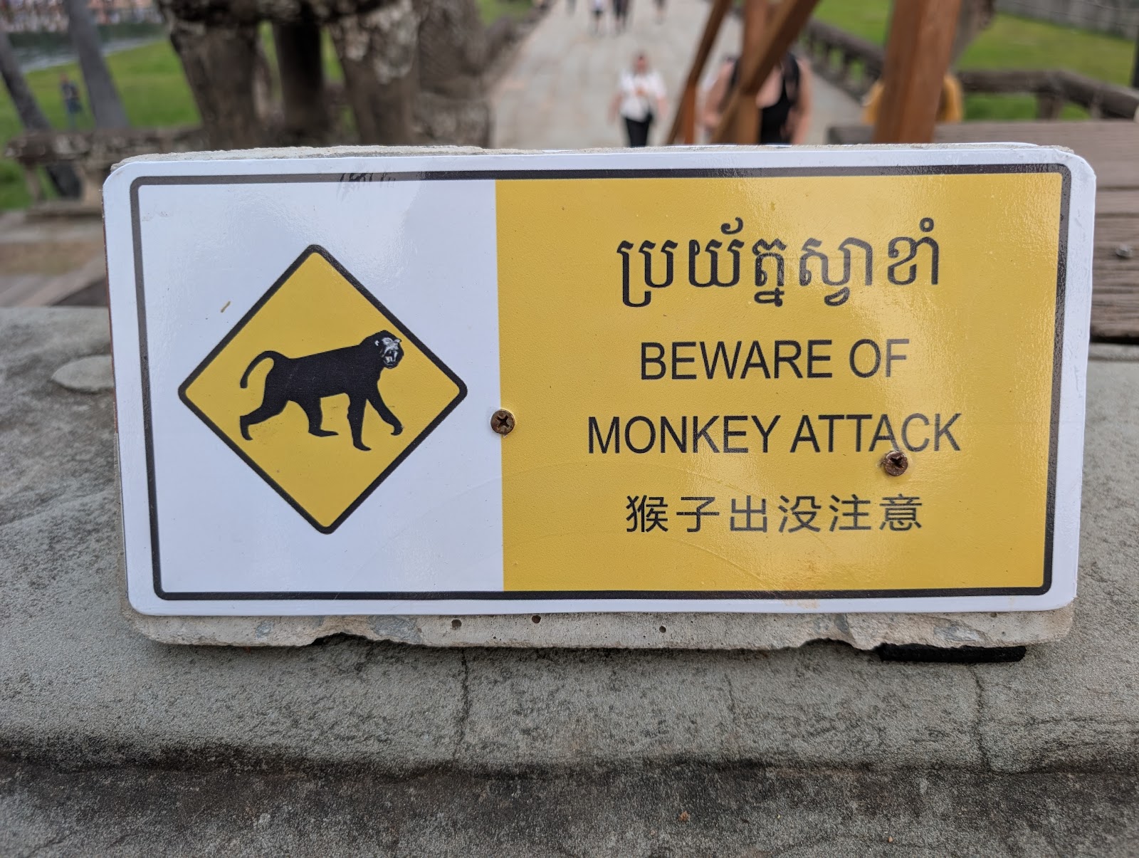 A bright yellow sign with text in Khmer, English, and Chinese
                 reading 'BEWARE OF MONKEY ATTACK' besides a graphic of an
                 angry short tail macaque