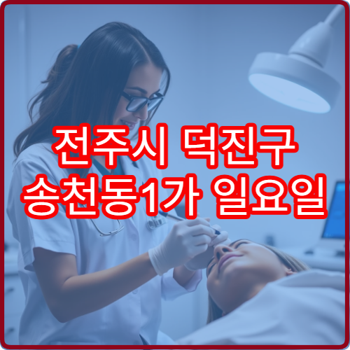 전주시 덕진구 송천동1가 일요일 진료 안과 눈 피로 시력 저하 검사