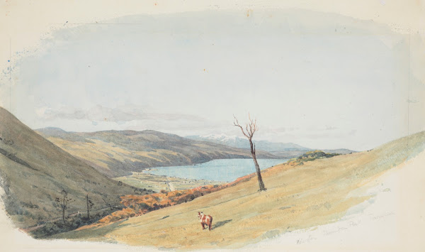 Wellington Thorndon Flat Tararua 1850s