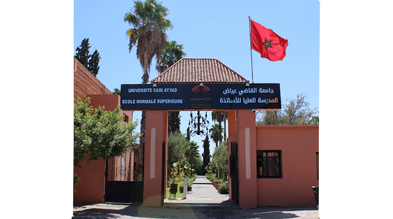 المدارس العليا للأساتذة - المدارس العليا للتربية والتكوين 