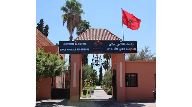 المدارس العليا للأساتذة - المدارس العليا للتربية والتكوين 