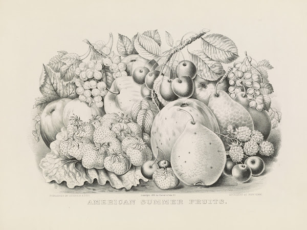 American summer fruits 1875