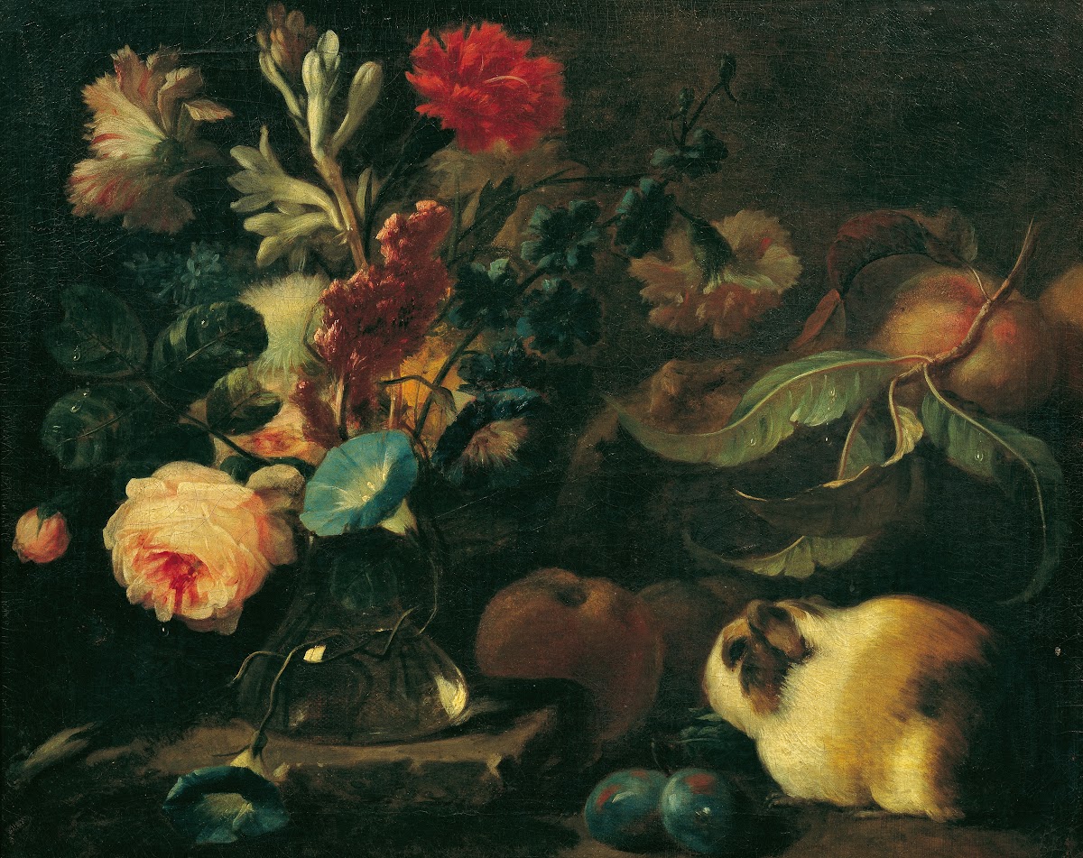 Stillleben mit Meerschweinchen Blumen und Früchten 1720 1724