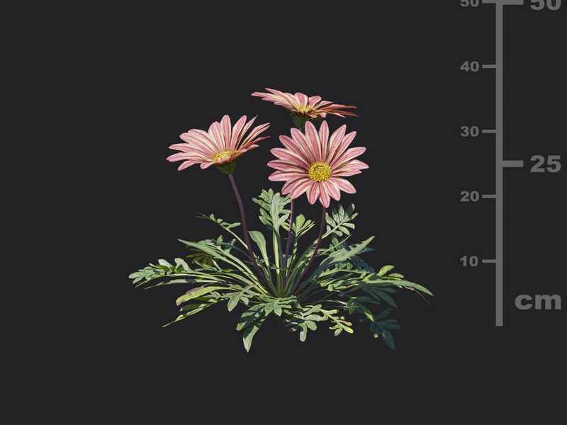 Maxtree - Plant Models Vol.116