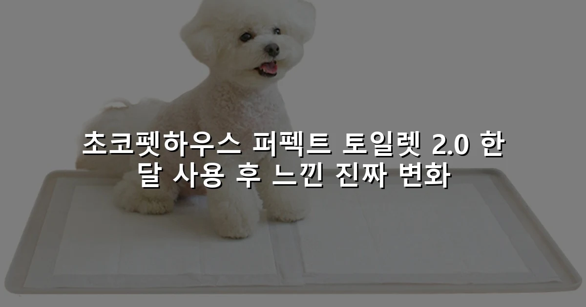 초코펫하우스 퍼펙트 토일렛 2.0 한 달 사용 후 느낀 진짜 변화