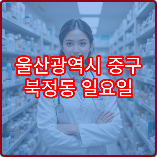 울산광역시 중구 북정동 일요일 당번약국 주말 운영 정리 감기 소화제 취급