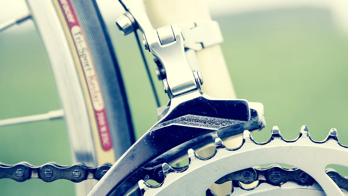 2026년 국가장학금 소득분위 산정 기준과 지원 금액 구조 분석