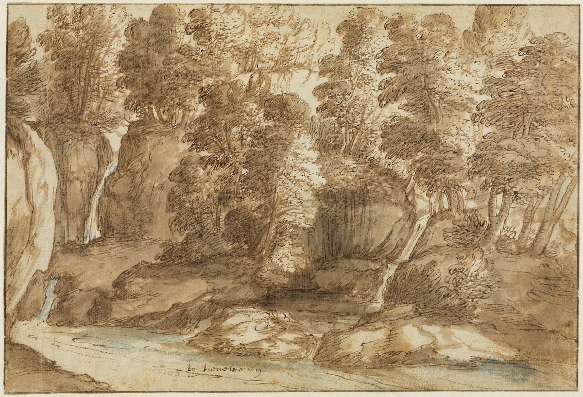 Waldlandschaft Bei Tivoli