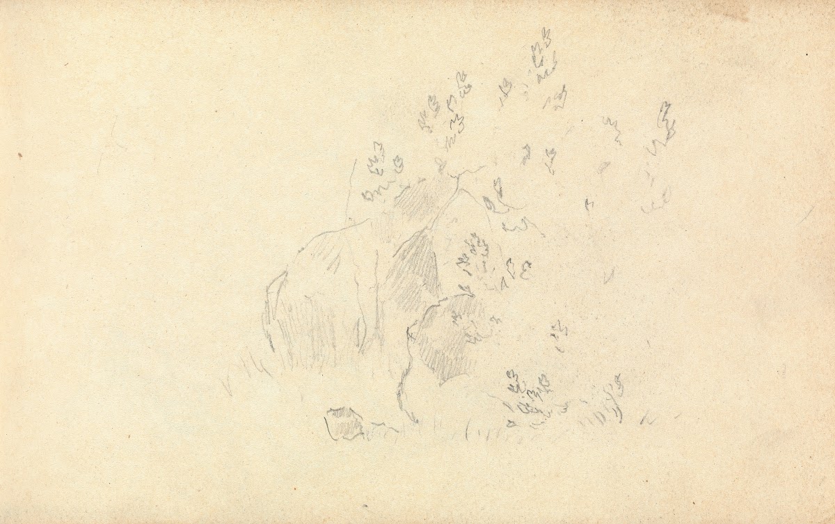 Slight Sketch of Rocks and Leaves