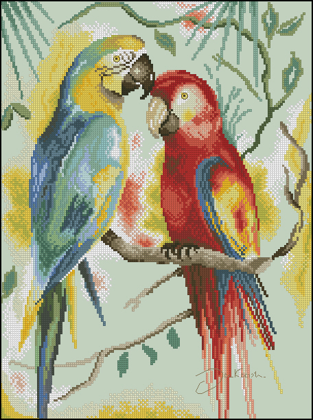 CMP TK223 Two Parrots