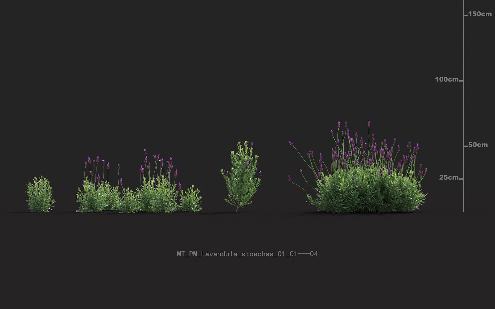 Maxtree - Plant Models Vol.20