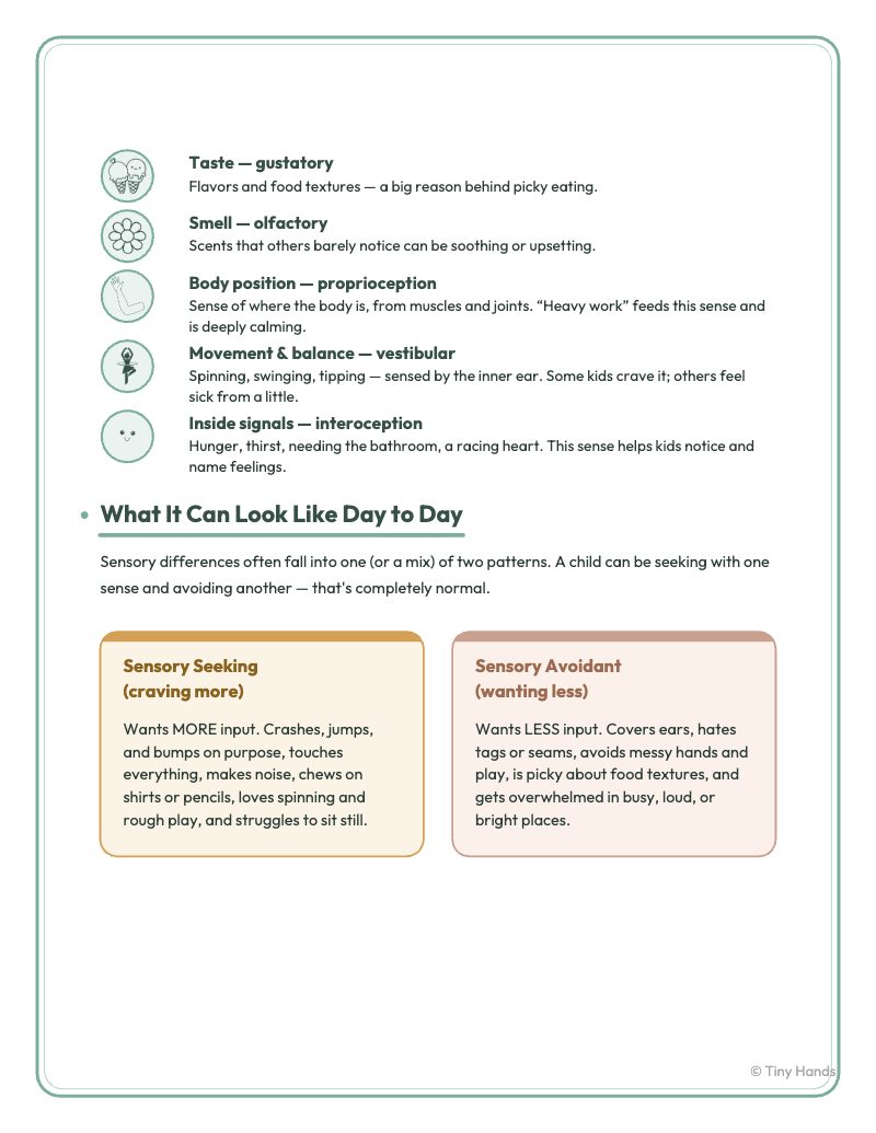 What Is Sensory Processing