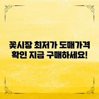 꽃시장 도매가격, 꽃 구매 방법, 저렴한 꽃, 꽃 도매시장, 꽃 가격 비교