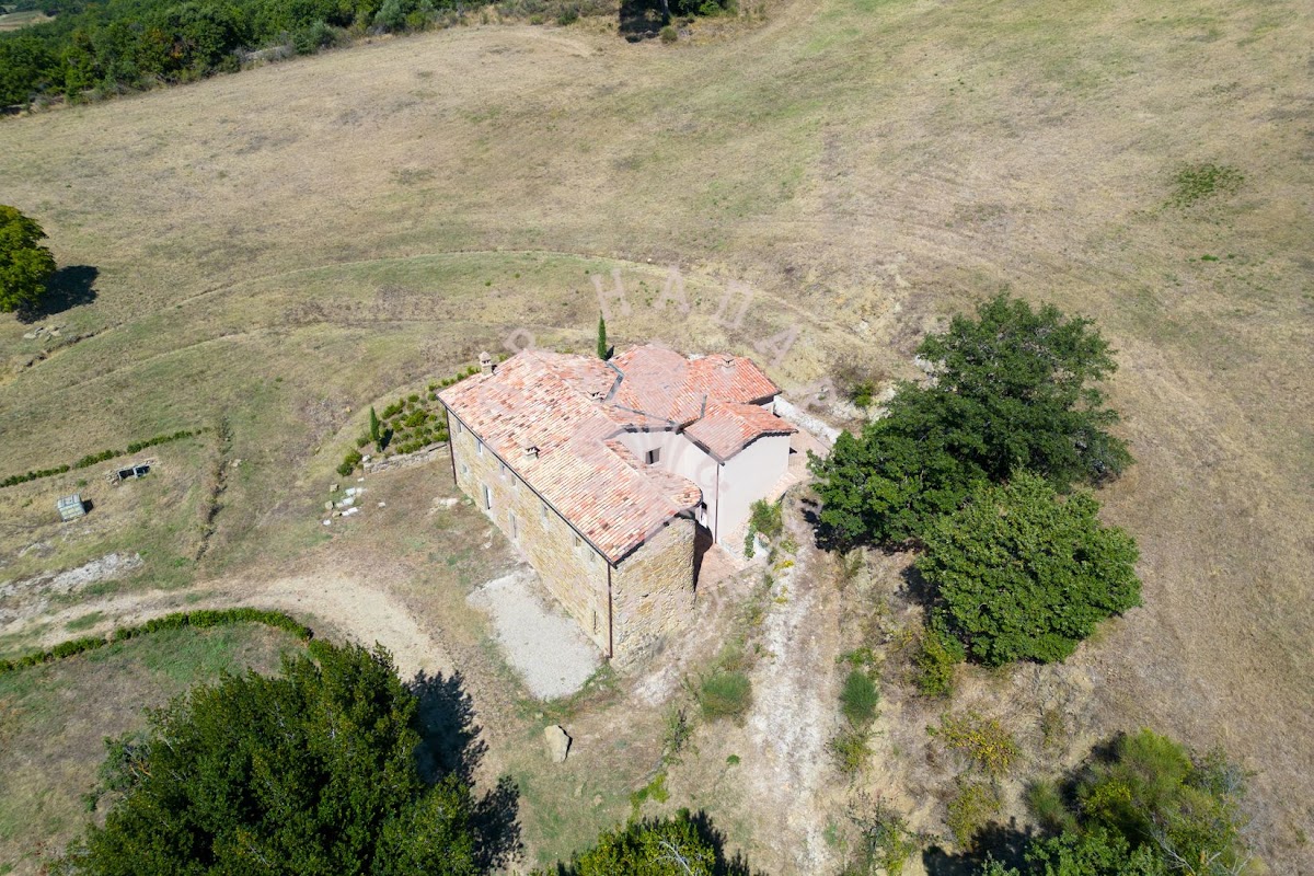 פודרה לה טולפה (Podere la Tolfa) — 12