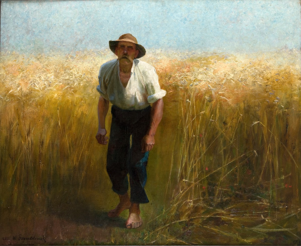 Harvester 1895