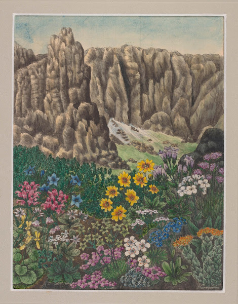 Vegetation of the Karkonosze Mountains Pl4 19th century
