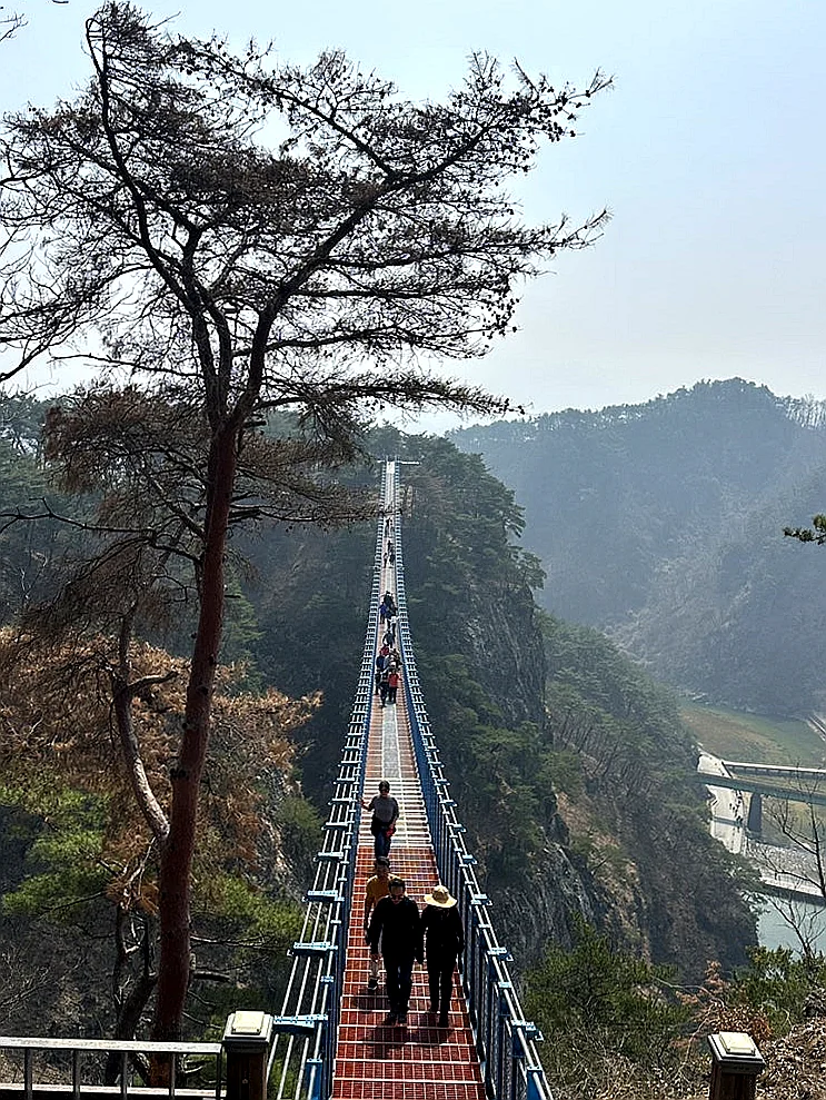 K-Travel Hacks: Conquer Wonju's Sogeumsan Grand Valley & Its Iconic Suspension Bridges - Sogeumsan Grand Valley, Wonju travel