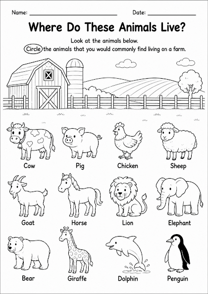 Farm Animals