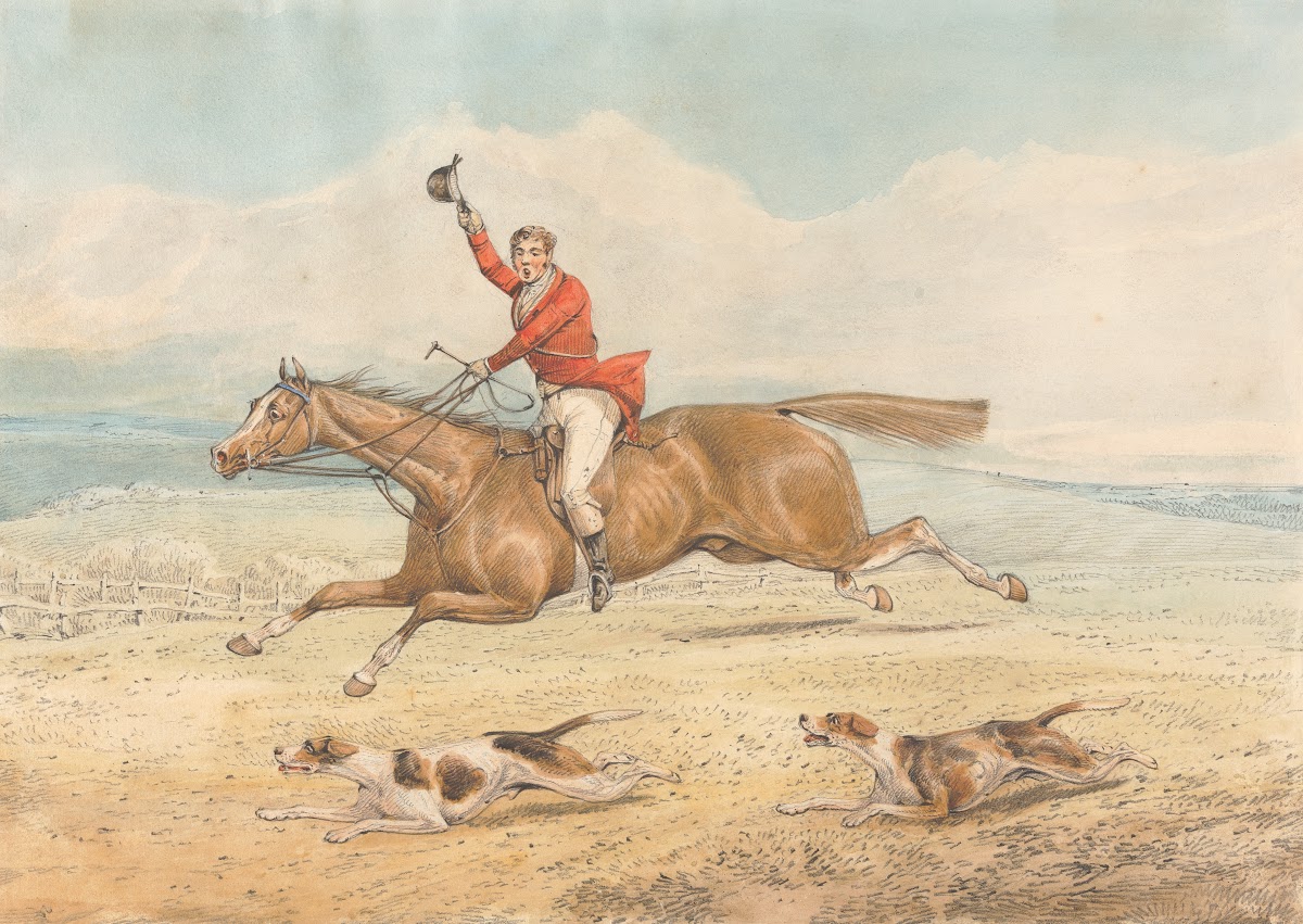 A Whipper In and a Couple of Hounds Running Hard in Open Country