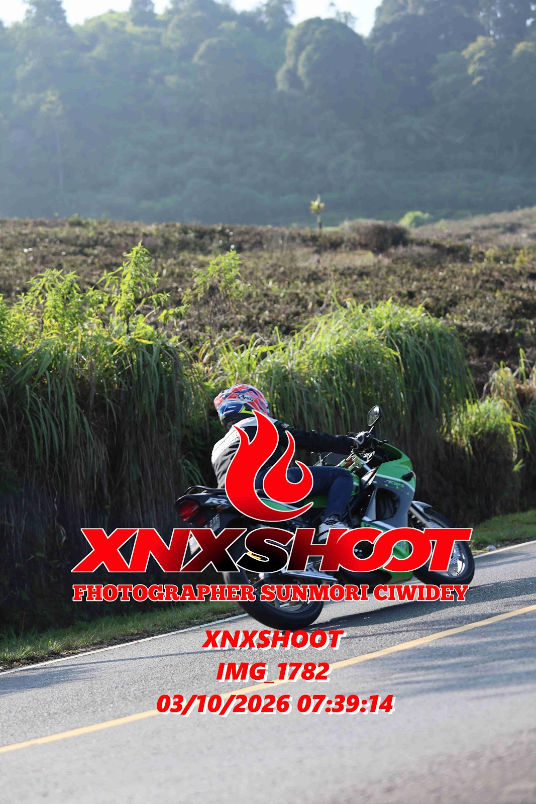 IMG_1782_result.jpg