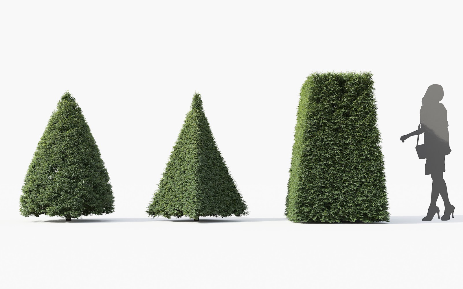 Maxtree - Plant Models Vol.28