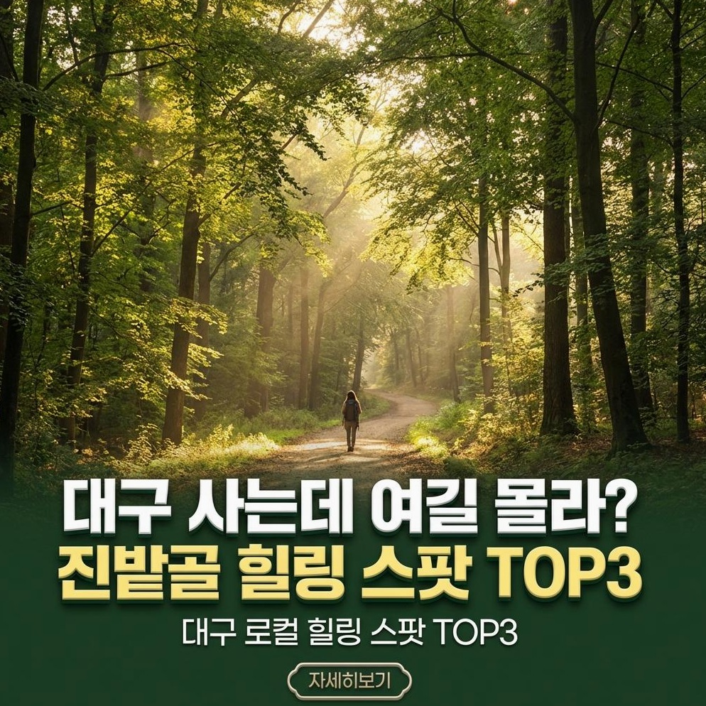 대구 진밭골 산림공원 완전 분석: 도심 속 힐링을 위한 전문가 가이드