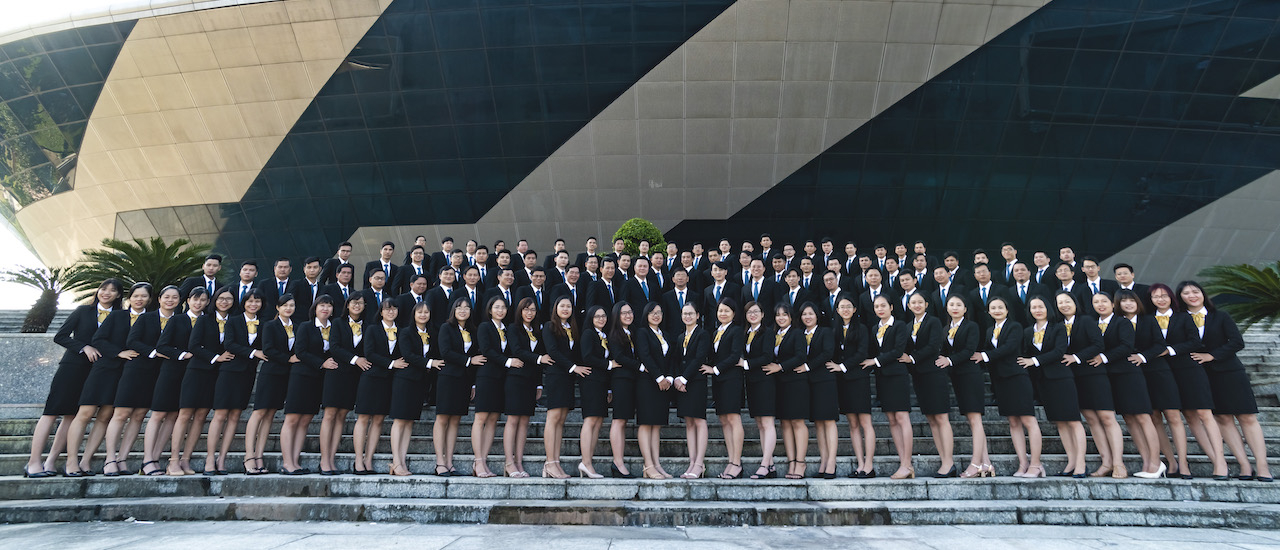 ECOVIS AFA VIETNAM AUDITING – APPRAISAL AND CONSULTING COMPANY LIMITED