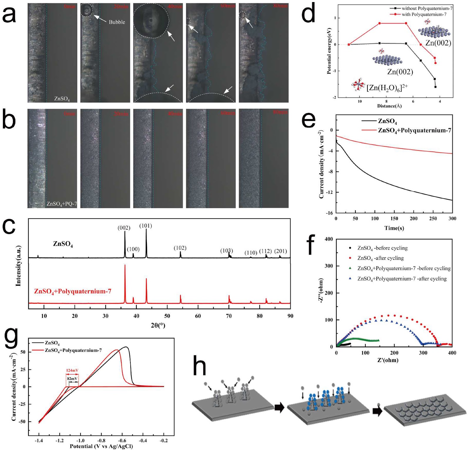 Regulation of Hydrogen Evolution Reaction and Dendrite Growth by Multifunctional Additive for Zn-Ion Batteries