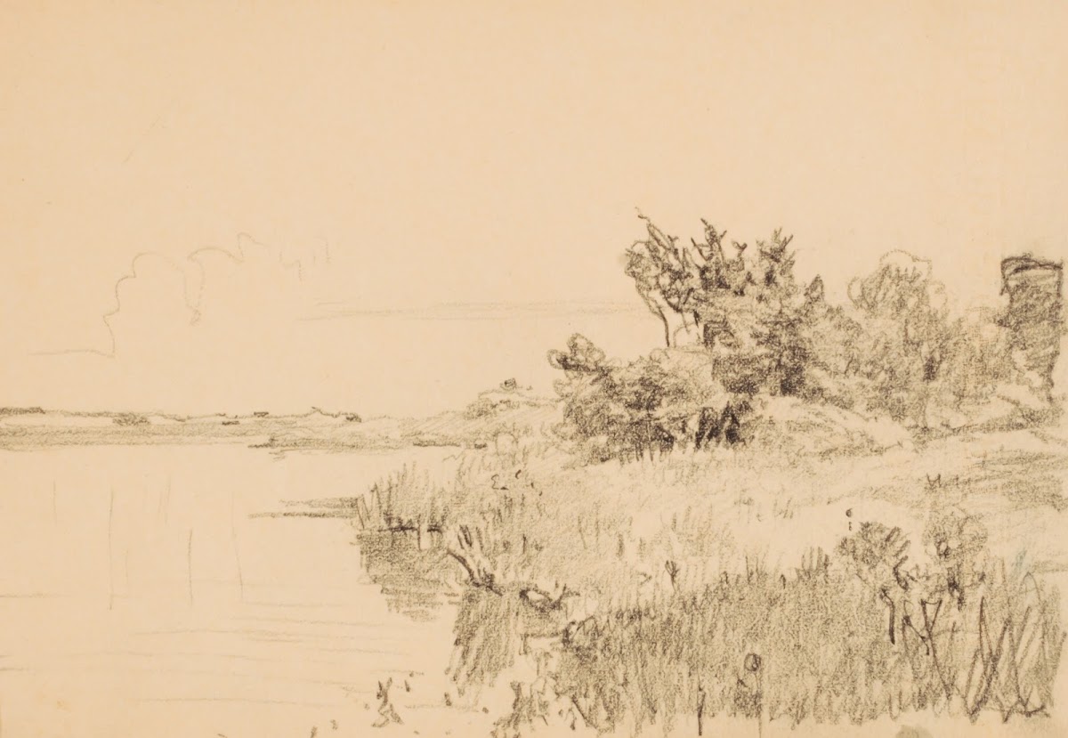 Shoreline