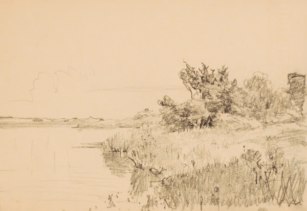 Shoreline