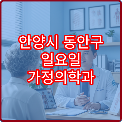 안양시 동안구 일요일 가정의학과 진료 병원 만성질환 상담 가능