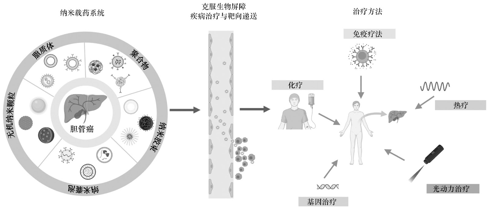 Nano-Drug Delivery Systems for Cancer Therapy: A Comprehensive Review