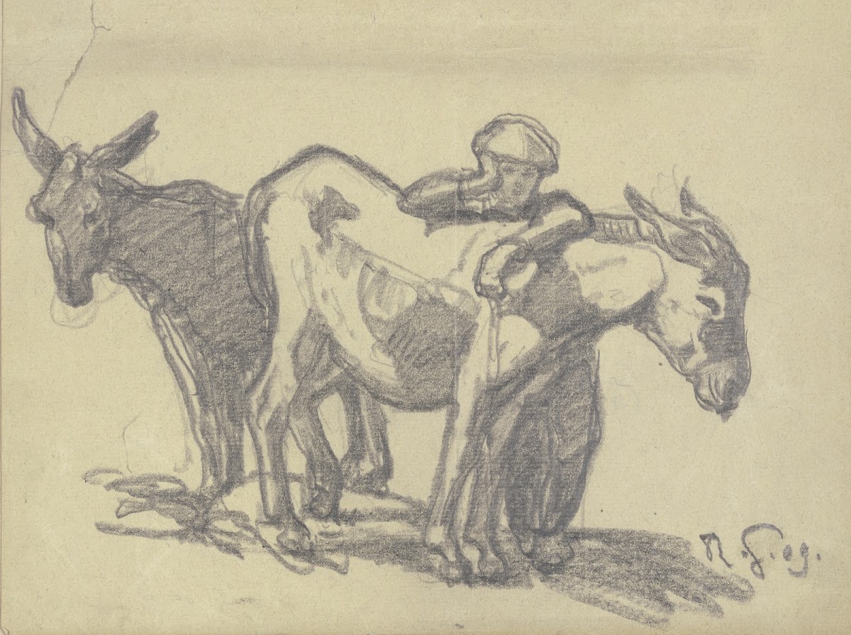 Boy with two donkeys