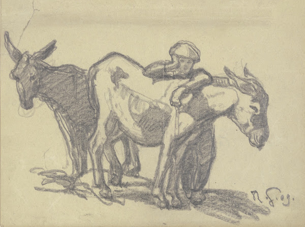Boy with two donkeys