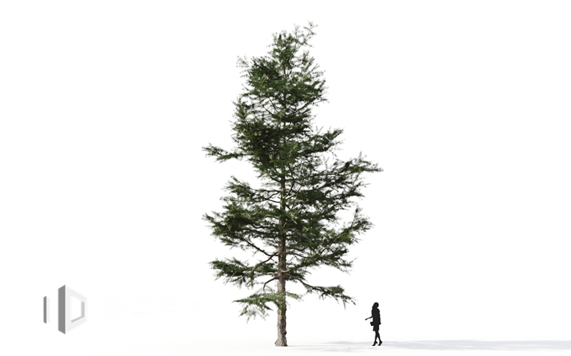 Maxtree - Plant Models Vol.9