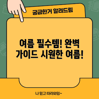 카즈미아이스박스, 여름 필수품, 냉각 기술, 야외 활동, 아이스박스 추천