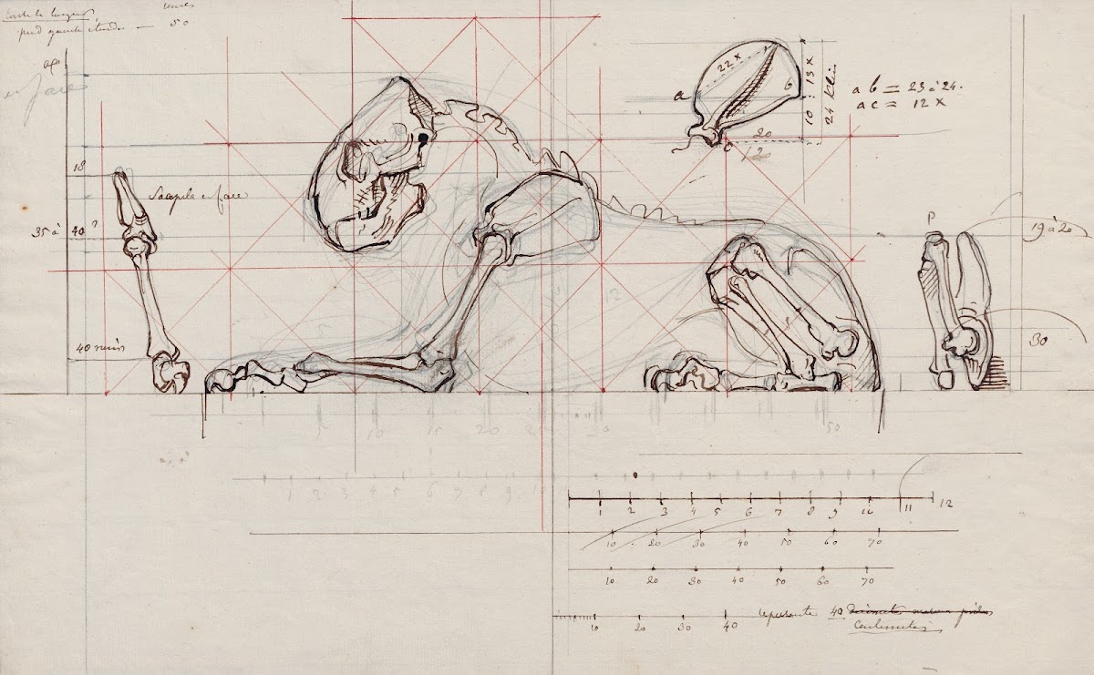 Le Géant de la Côte represented as a skeleton