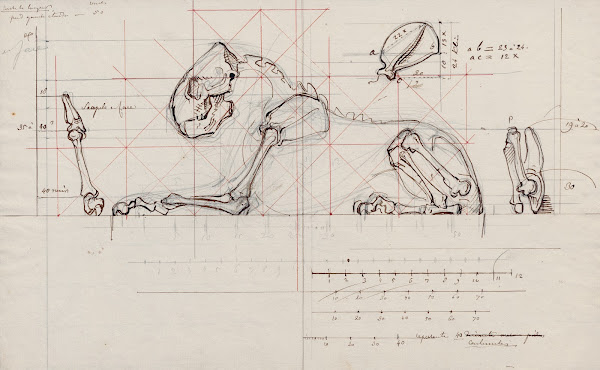 Le Géant de la Côte represented as a skeleton