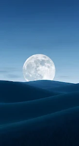 Cybernetic Humanoid Portrait