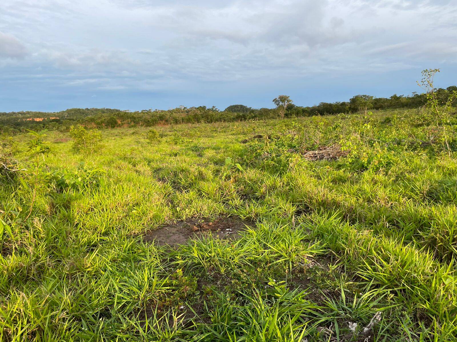 Fazenda em Campos Lindos - TO 3