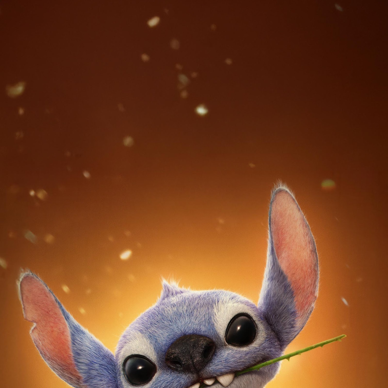 Download Stitch Holds a Single Red Rose 2K iPhone